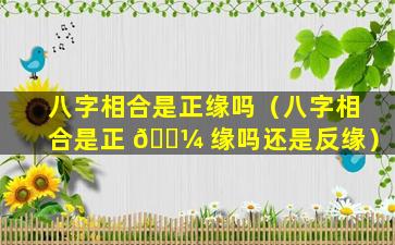 八字相合是正缘吗（八字相合是正 🌼 缘吗还是反缘）